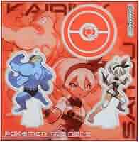 ポケモンセンターオリジナル Tシャツコレクション サイトウ&カイリキー ☆完売品☆ポケモンセンター ポケモントレーナー サイトウ